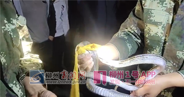 1557465251166258.png 微信截图_20190510131459.png