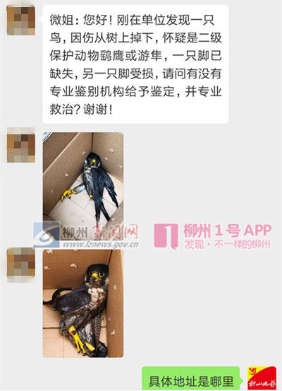 1557752344964091.jpg 微信图片_20190513205354_副本.jpg
