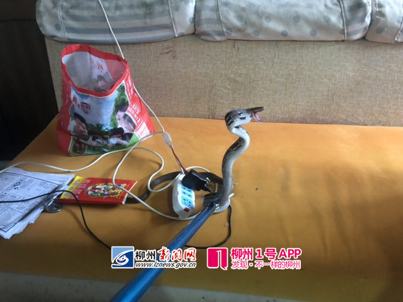 1557835770247280.jpg 微信图片_20190514201412.jpg