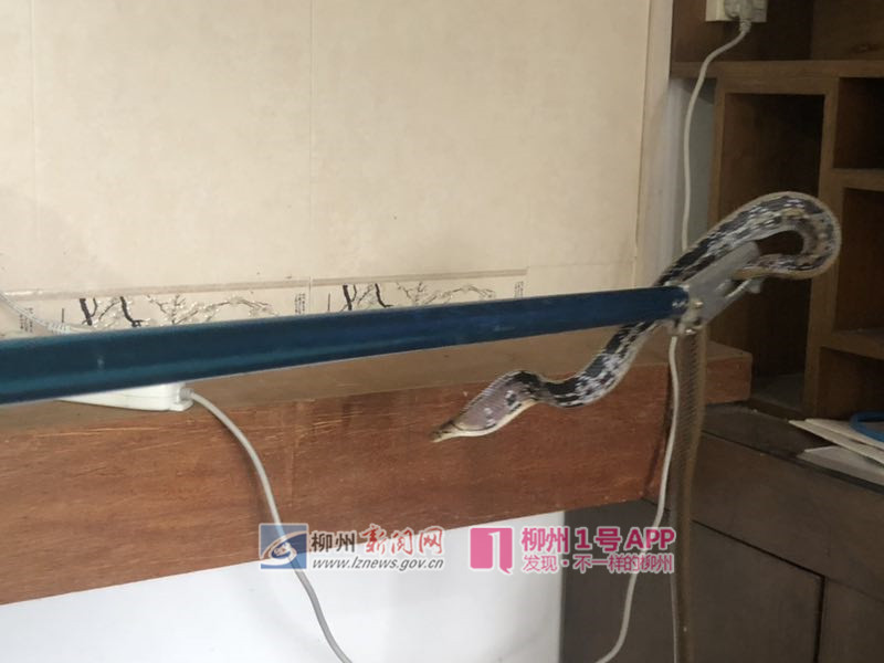 1557835853755202.jpg 微信图片_20190514201605.jpg