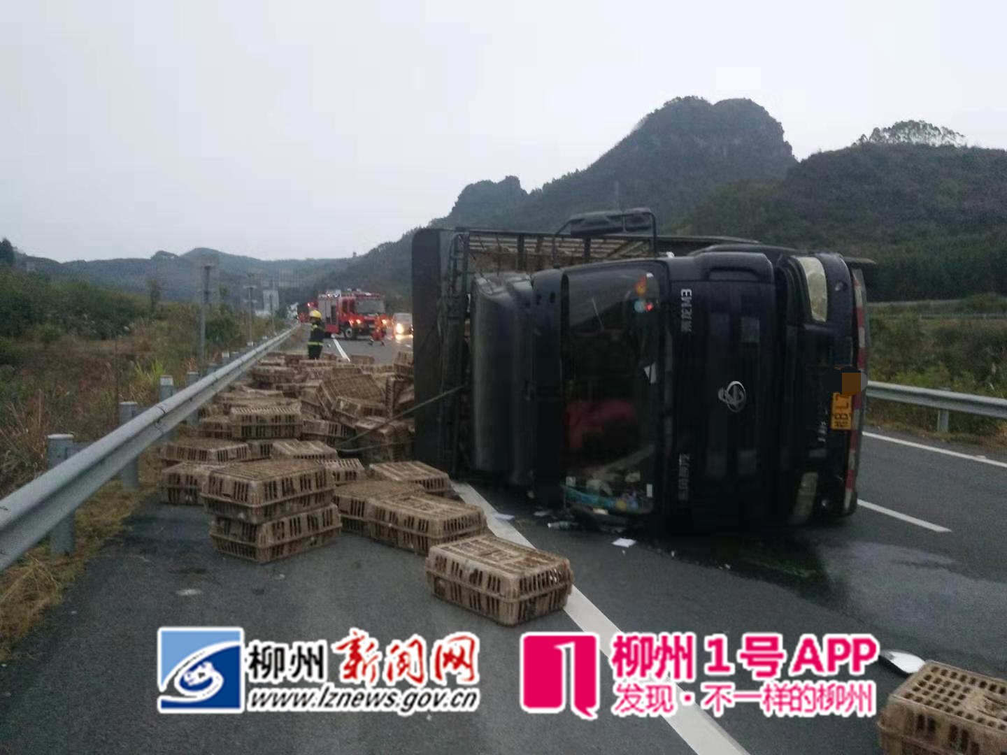 1577021251829399.jpg 微信图片_20191222205539.jpg